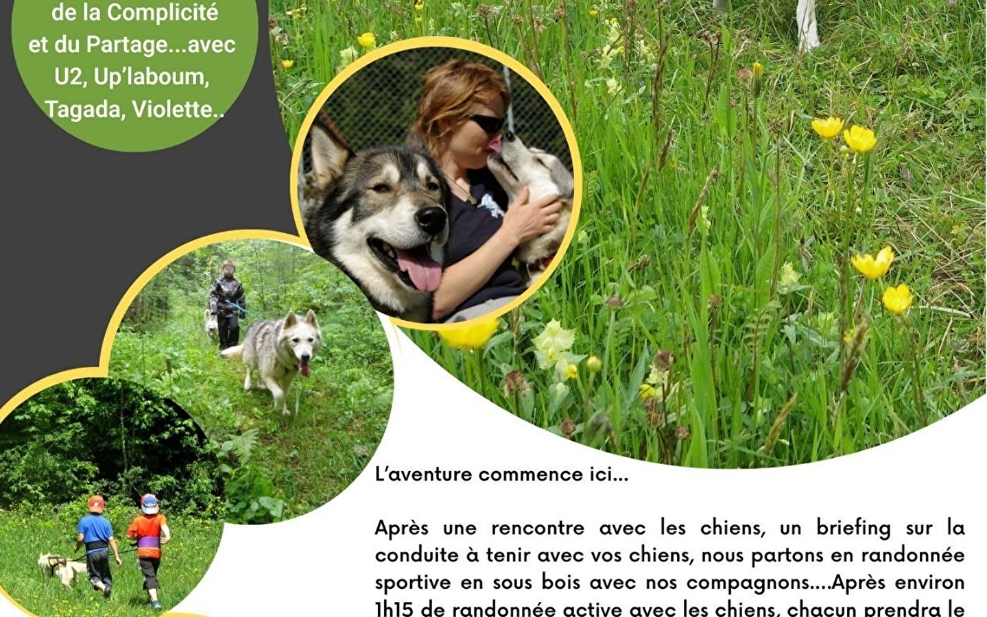 Cani rando Schlittenhunde