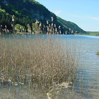 Schleife 14: Die Tour d'Etival - LES CROZETS