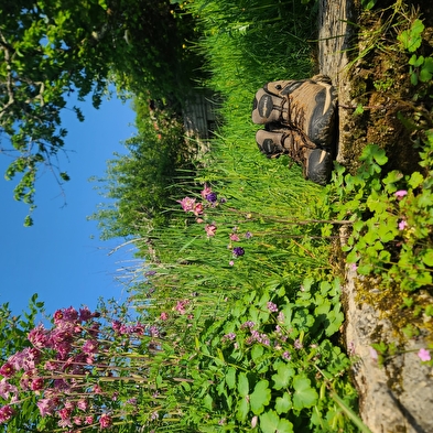 Das Herz des Jura anders entdecken