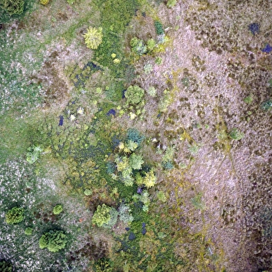 40 Jahre Regionales Naturreservat der Torfmoore von Frasne