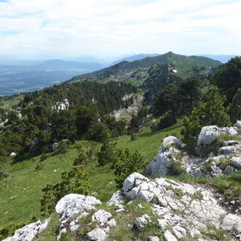Le Crêt de la Neige - THOIRY