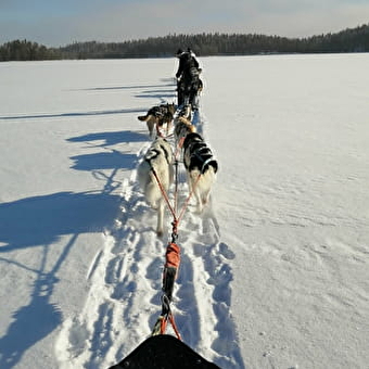 Initiation à la conduite d'attelage avec HossAventures - VALSERHONE