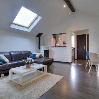 Le Lynx - DIVONNE-LES-BAINS