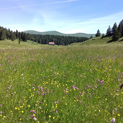 Trekking-Entdeckung der Hautes-Combes des Jura mit Lucas Humbert