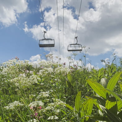 Randonnée - descente du morond