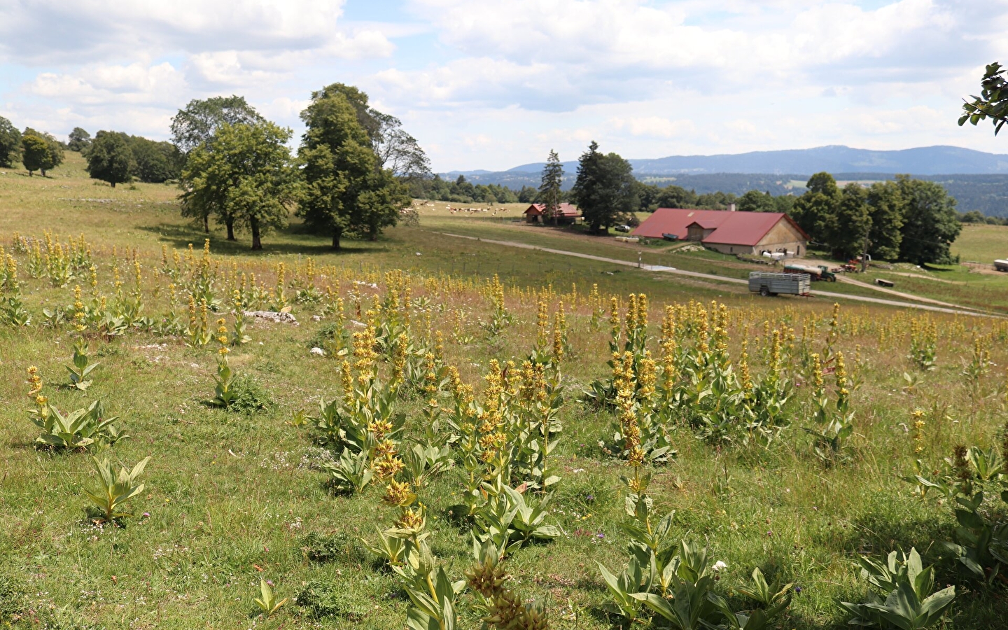 Point de vue du Grand Taureau