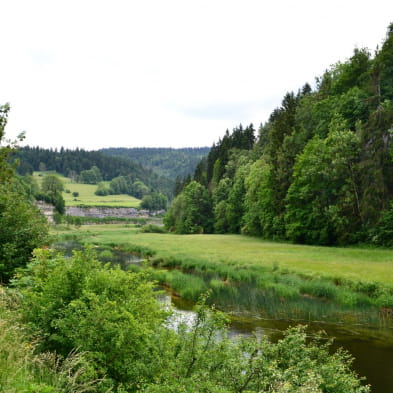 Die Damen von Entreportes