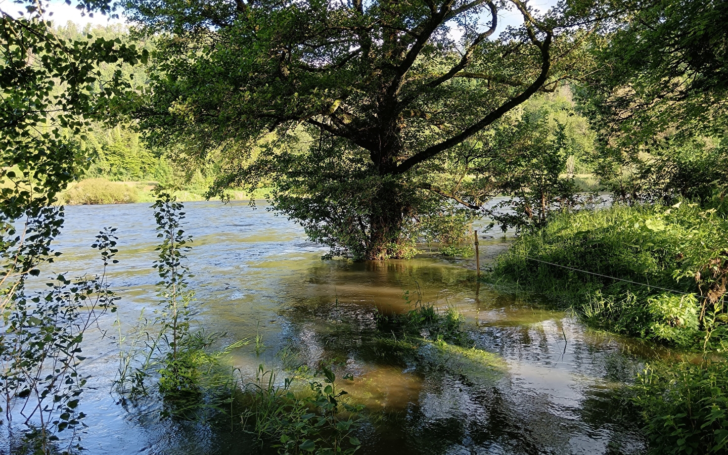 Moulin Vermoret