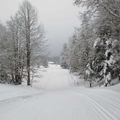 Piste de ski de fond : Les Louvatières