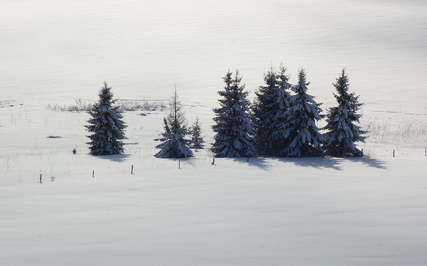 Site Nordique de Apremont