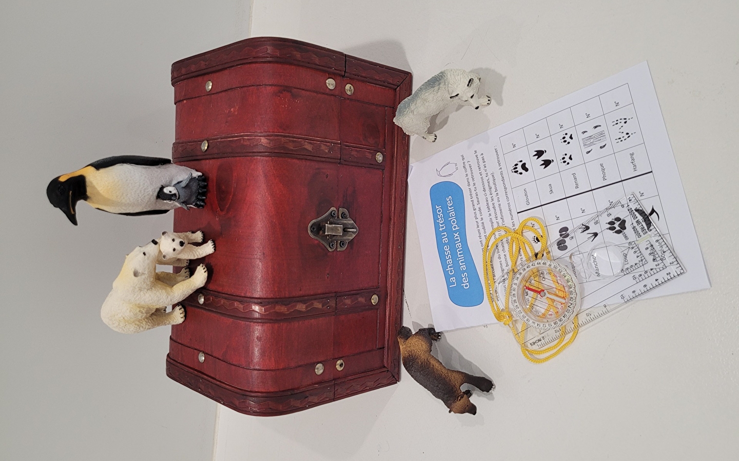 Schatzsuche nach Polartieren