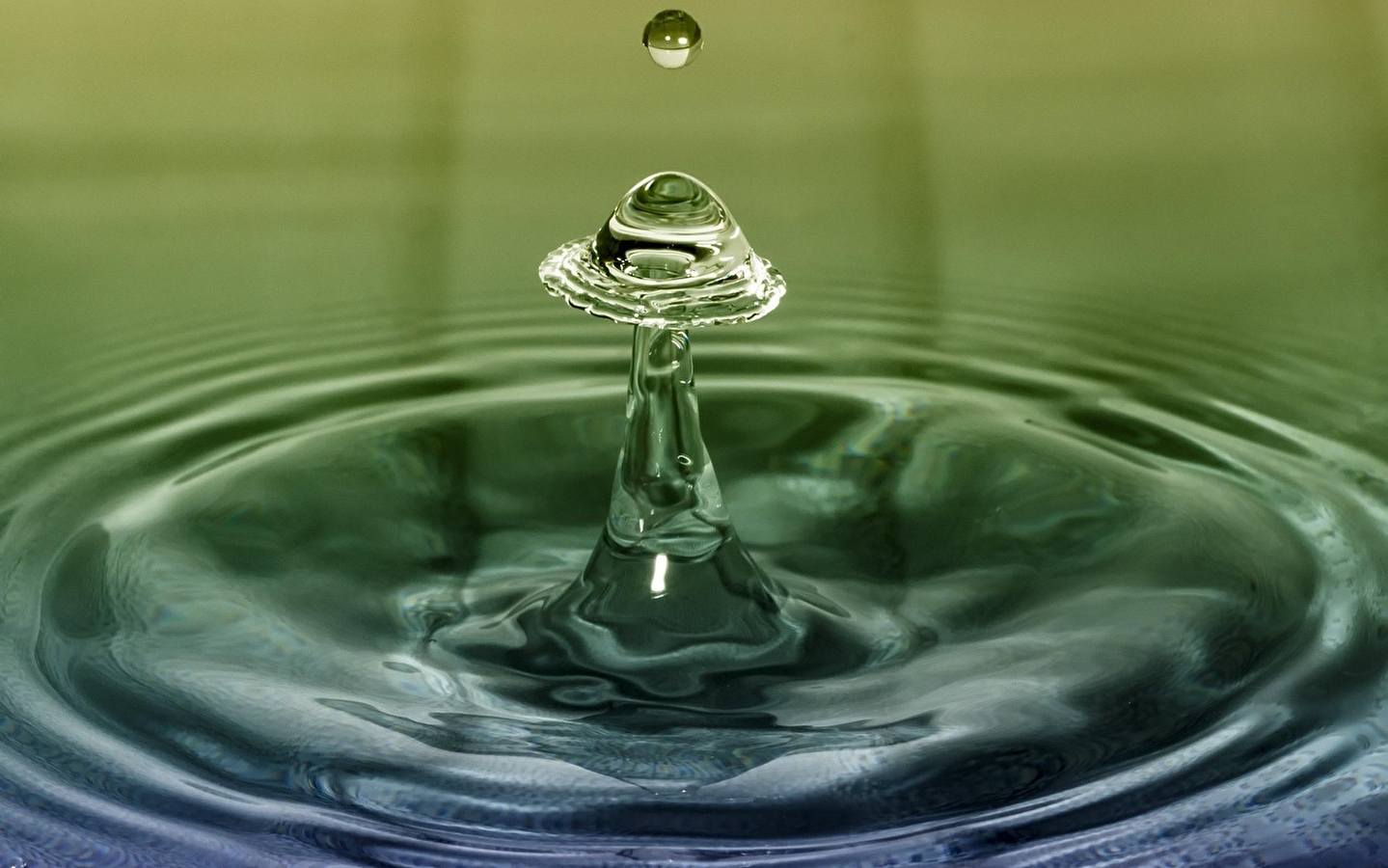 Familien-Workshop: Wasserspiele, Für 4- bis 7-Jährige!