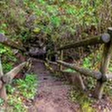 Le sentier de cessay