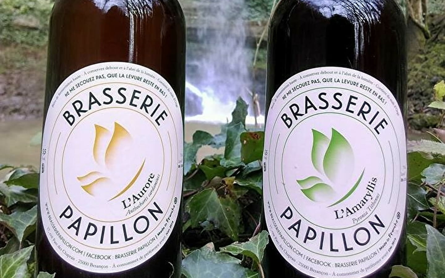 Brasserie Papillon