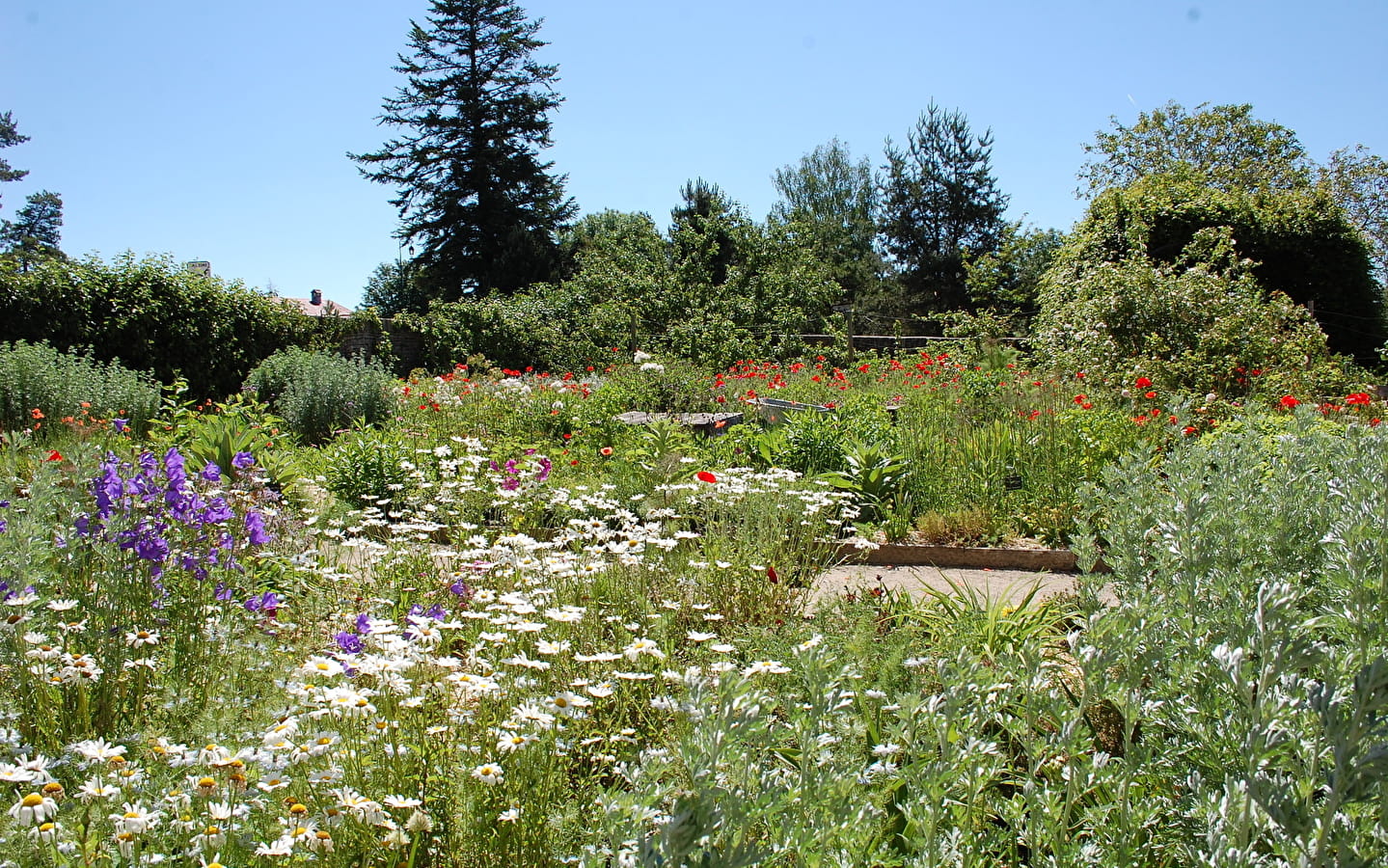 Der Garten der Courbet-Farm im Rampenlicht!