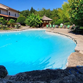 Restaurant Au faisan doré - NEUVILLE-SUR-AIN