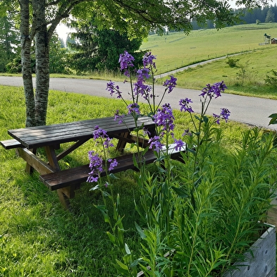 Chalet 29 D - Olivier Clerc