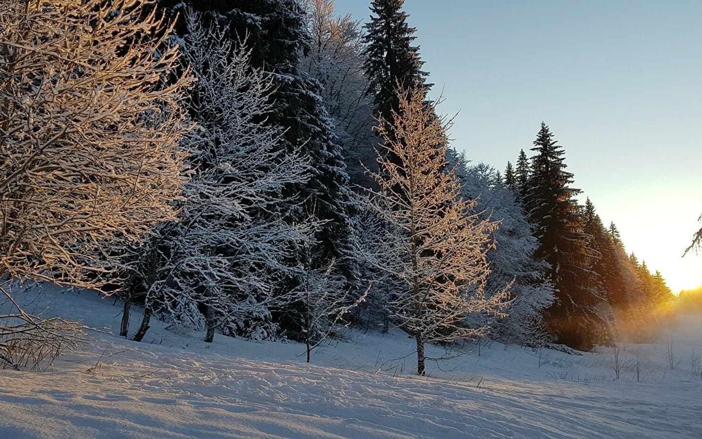 La Grande traversée du Jura à ski de randonnée nordique - GTJ à ski de randonnée nordique (Große Juradurchquerung mit nordischen Tourenskiern)