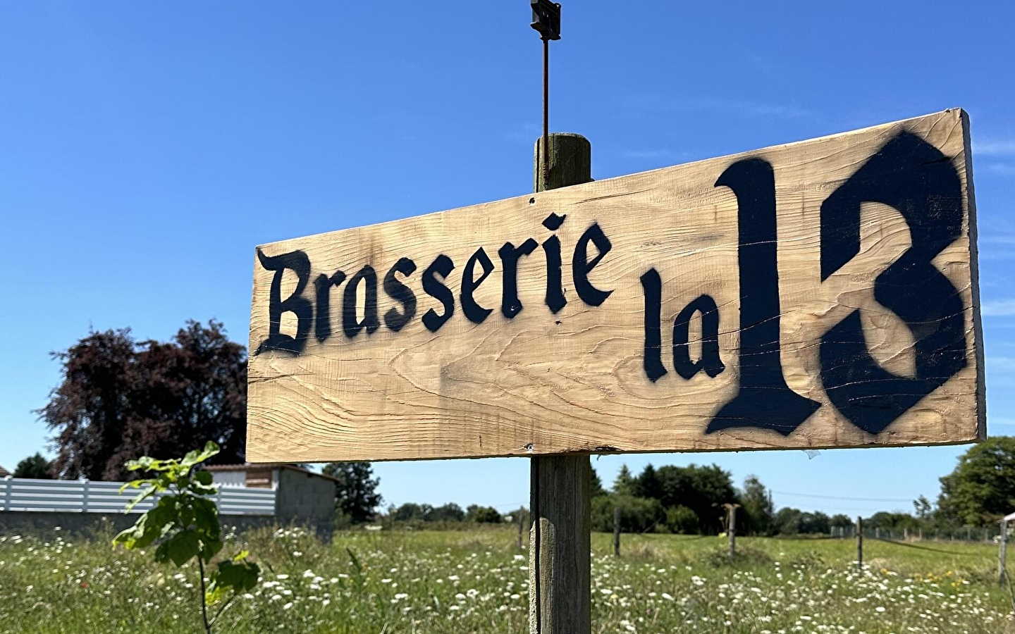 Brasserie La 13