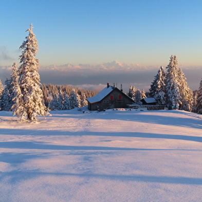 Schneeschuhwandern in den Weiten des Schweizer Jura