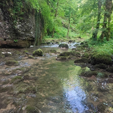 Trail de la Vallée Baumoise (Trail des Baumoise-Tals)