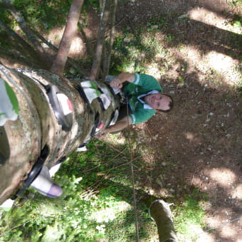 Escal'arbre - PLATEAU D'HAUTEVILLE