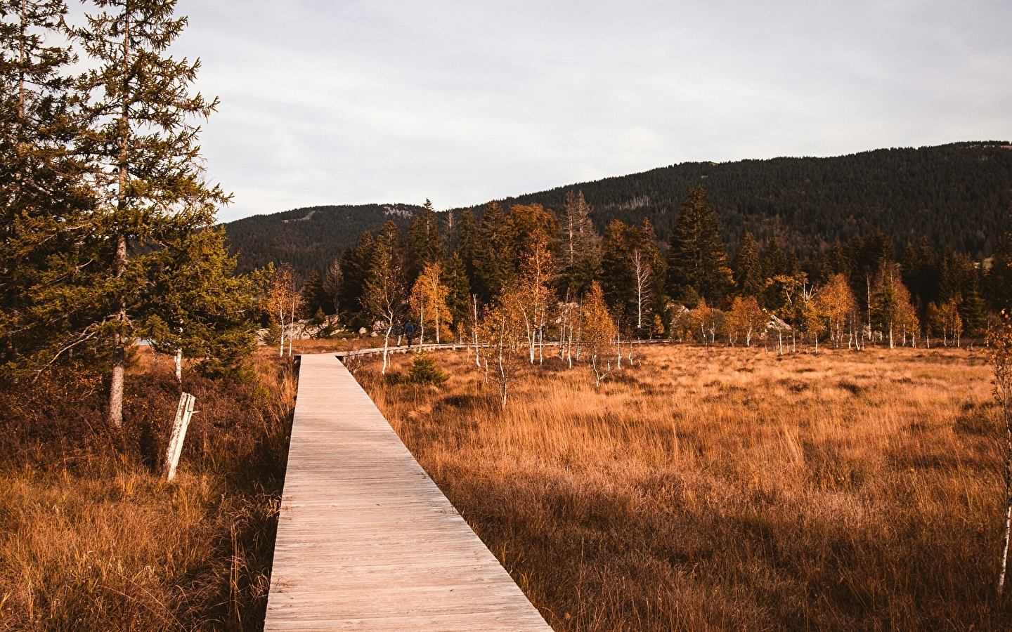 Wander-/Wellnessaufenthalt im Herbst