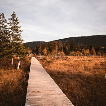 Wander-/Wellnessaufenthalt im Herbst -