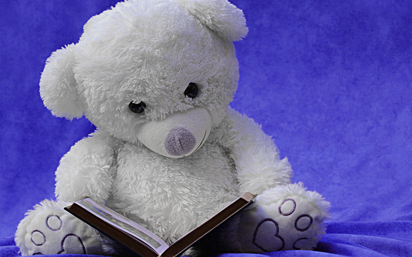 Treffpunkt Weihnachtsmärchen