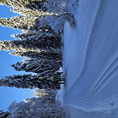 Aufenthalt Jahresendfeiertage
