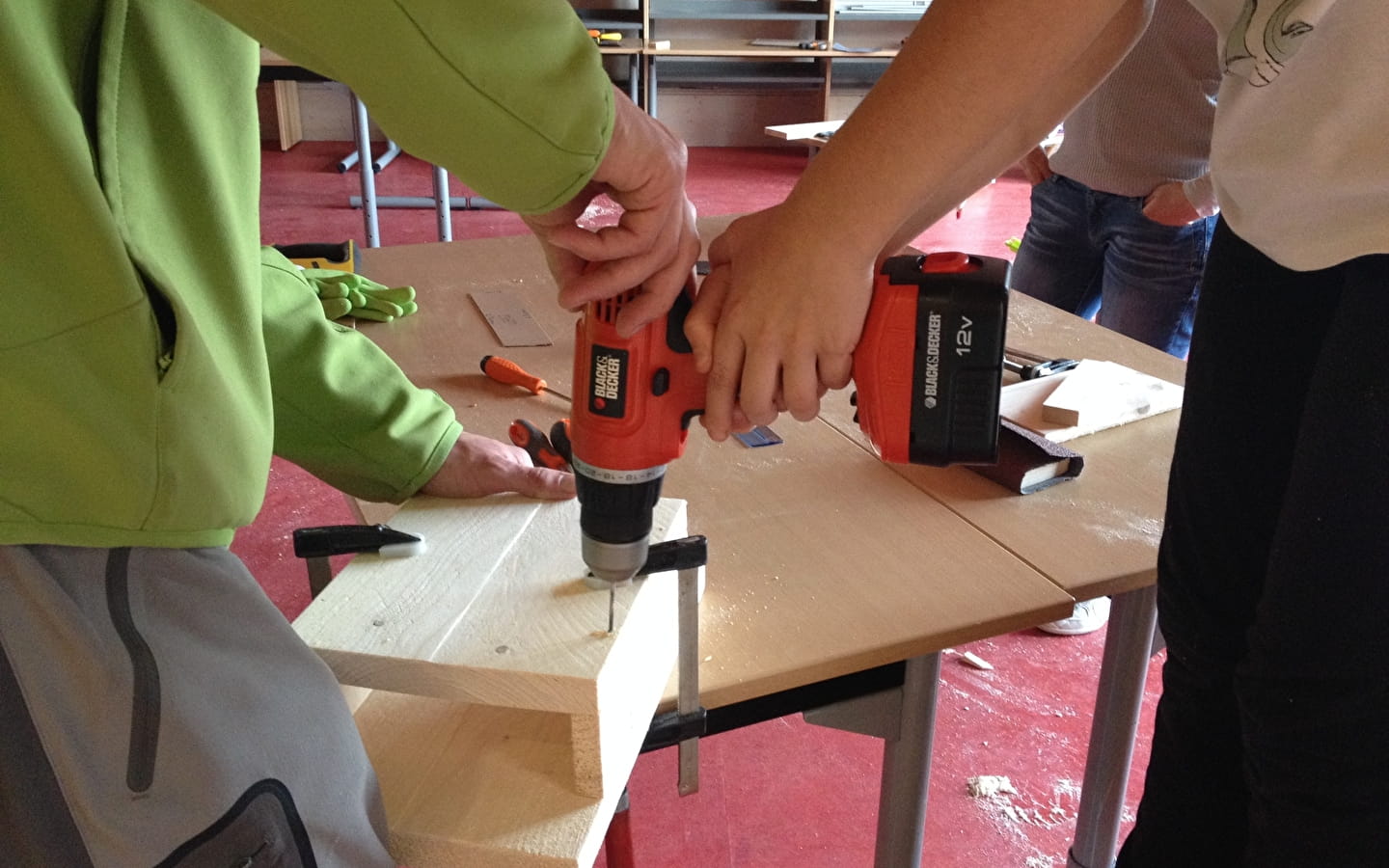 Kinder-Workshop 123 Natur: Die ungeliebten Fledermäuse