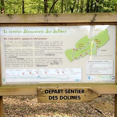 Die Dolinen