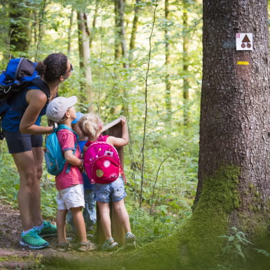 Rundgang Entdeckung der Bielersee