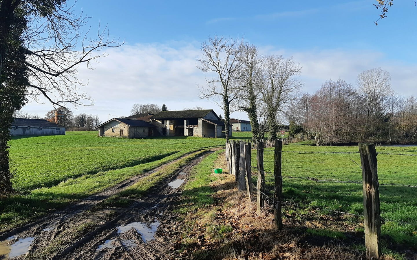 Sur les chemins de St Didier d'Aussiat (VTT)