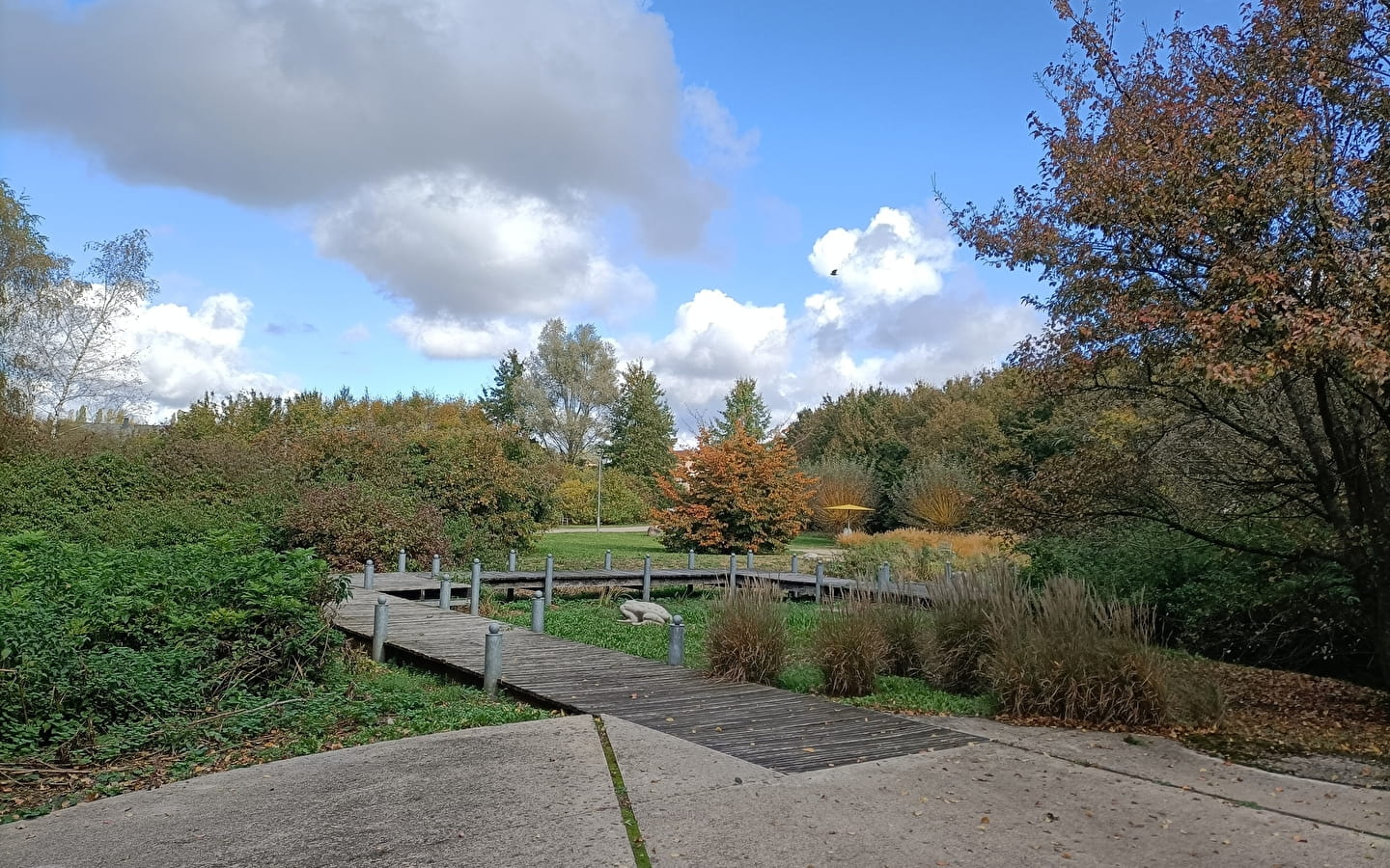 Le parc des Jonchets