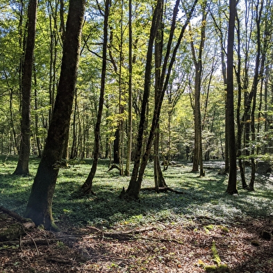 Wanderweg - chatard-kreuz