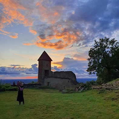 Ausstellungen im Château de Chevreaux