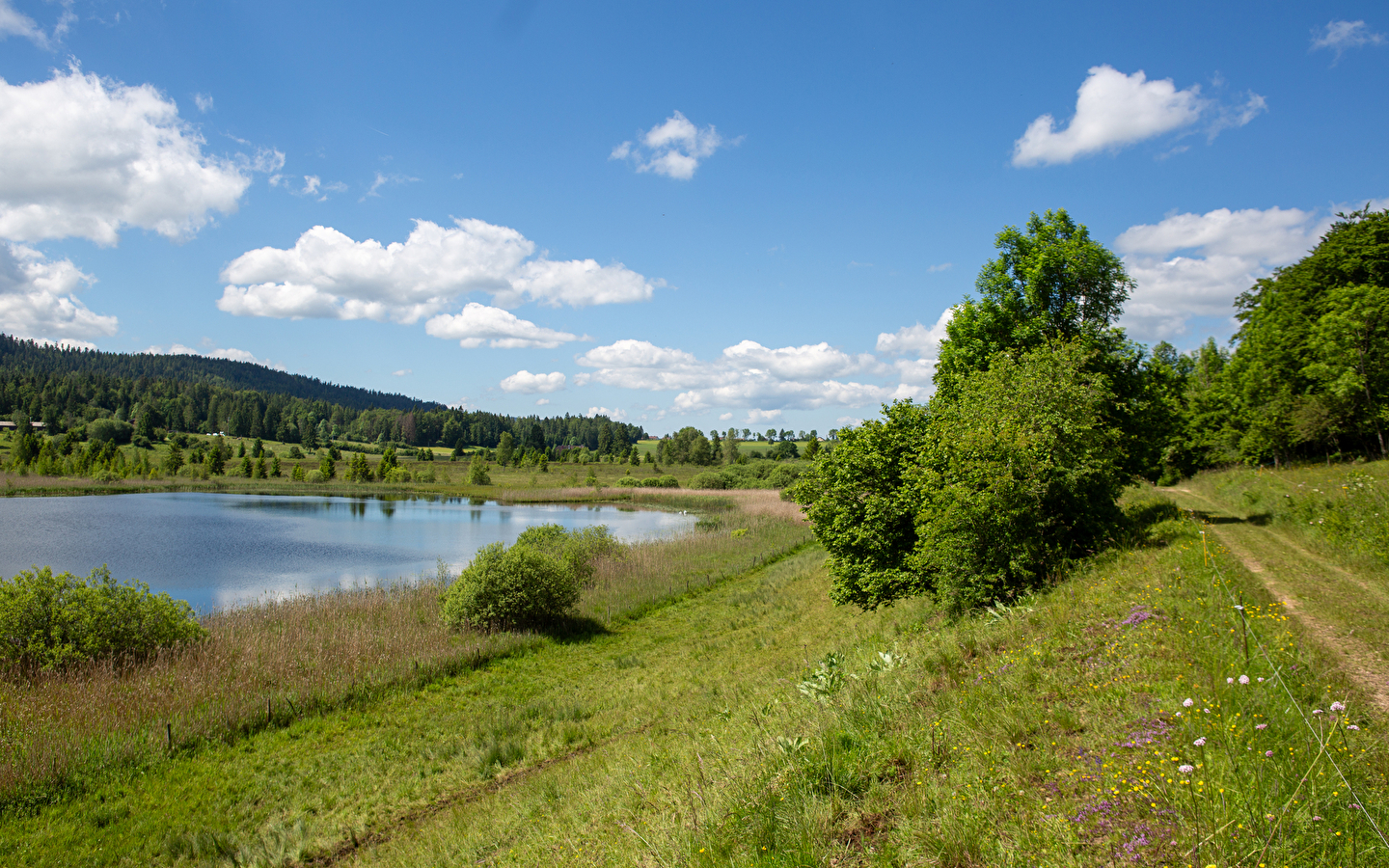 Mountainbike-Roaming - Der jurassische Zed in 6 Tagen