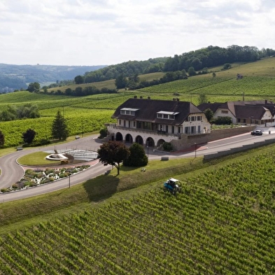 Süße Masterclass & Weine der Domaine de la Pinte
