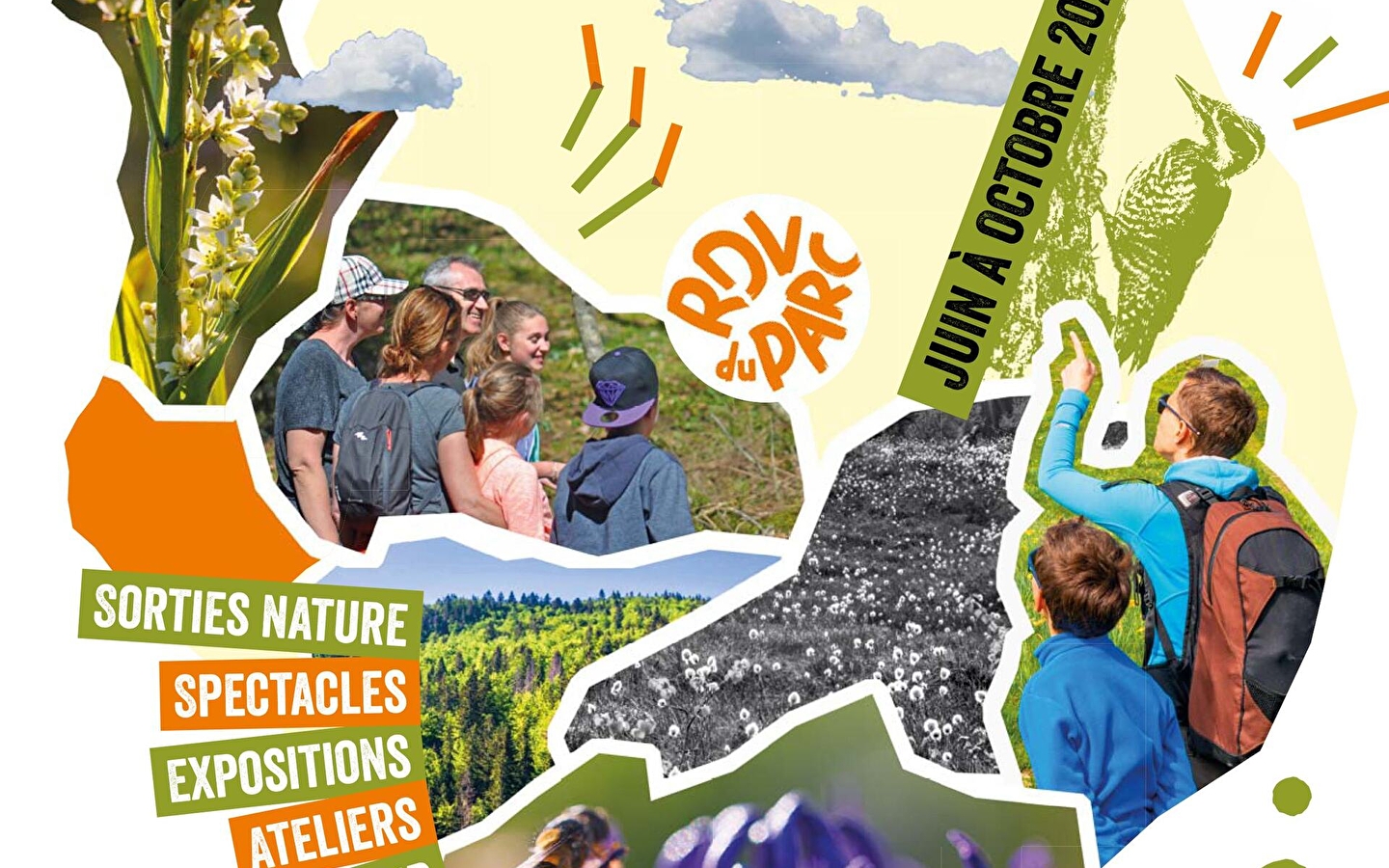 Kreativ-Workshop: 'Die Kunst, die Natur zu drucken'.