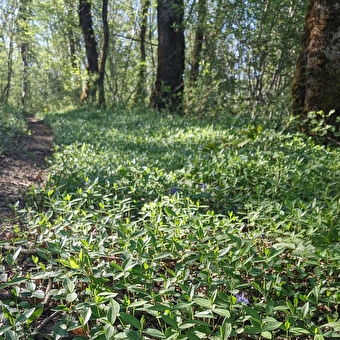 Die Dolinen - OUGNEY-DOUVOT