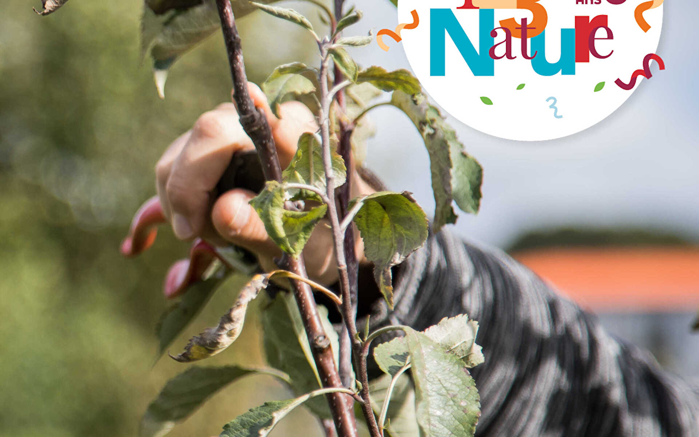 ATELIER ARBORICULTURE 123 NATURE: Restaurationsschnitt in Valentigney