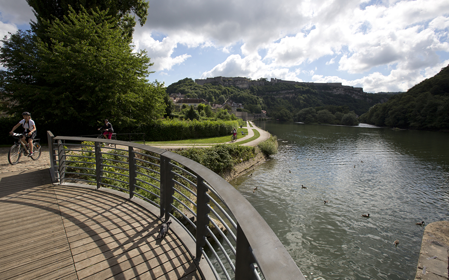 Biodiversität auf der Via Francigena