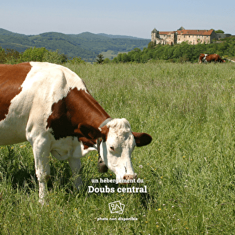 Au Mont du Luisans - FOURNETS-LUISANS