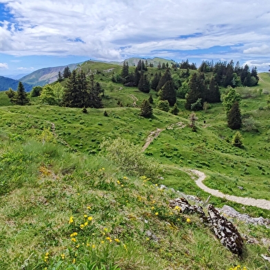 Petit Mont-Rond