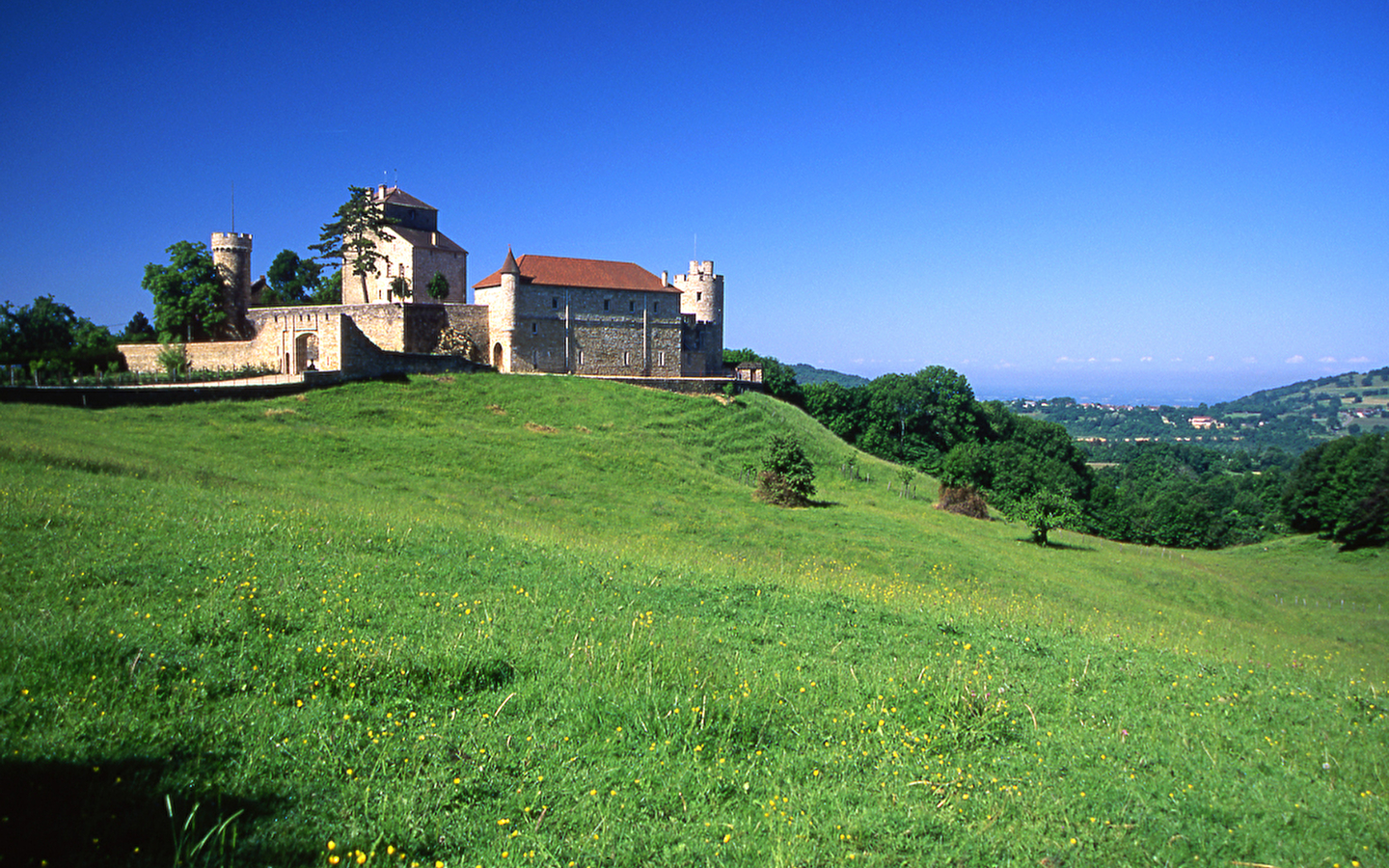 Château de Rosay