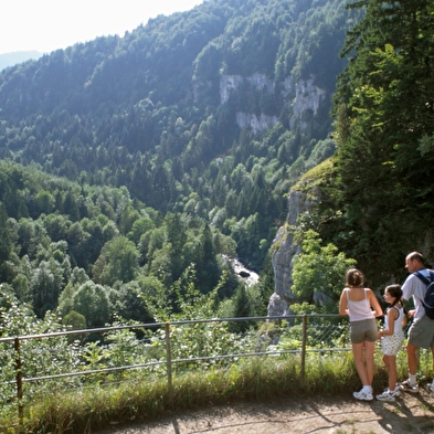 Die Leitern des Todes