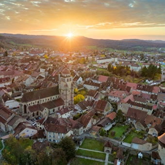 Poligny und der Comté: im Herzen der Traditionen des Jura - POLIGNY