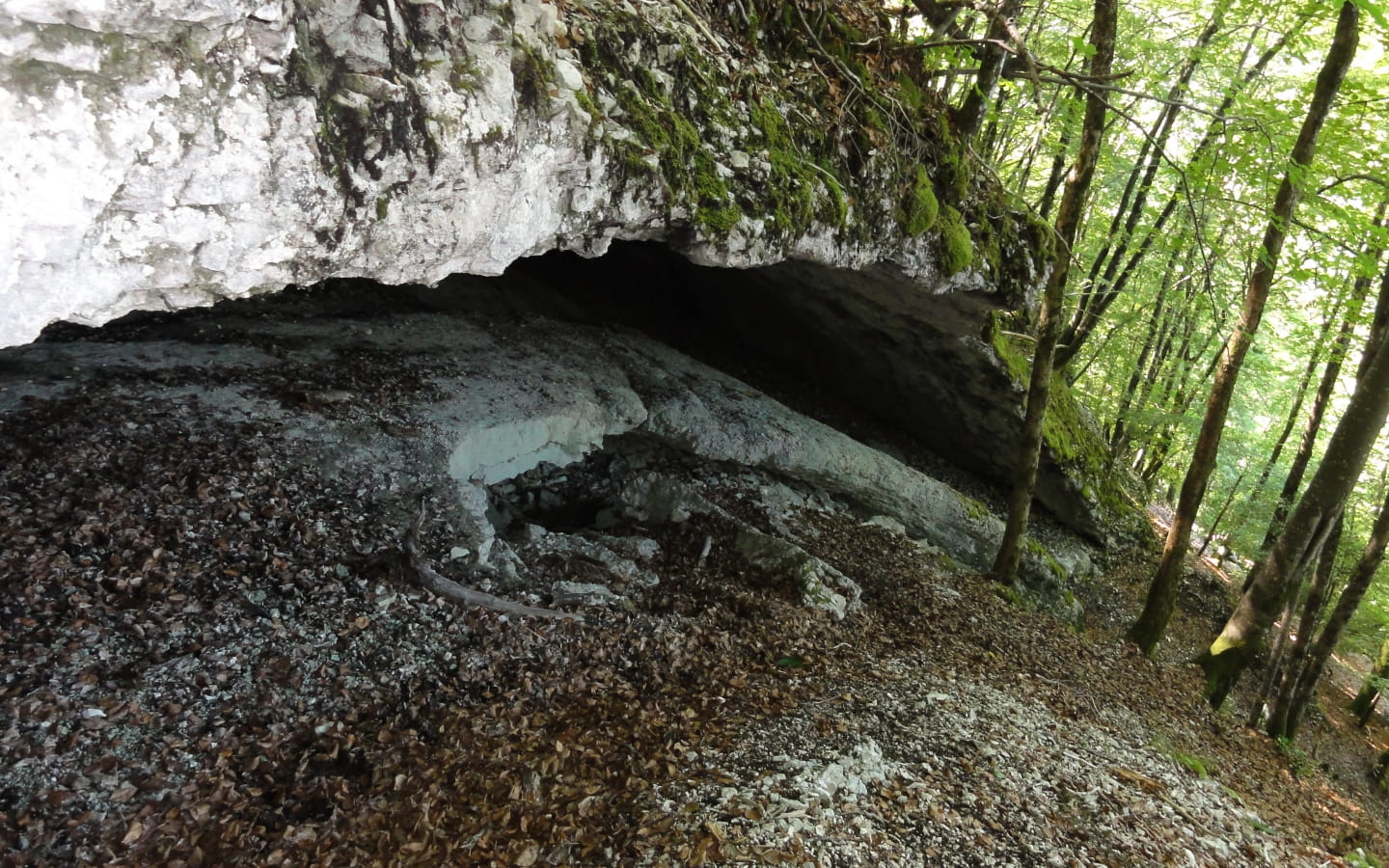 Die Sarrazin-Höhle