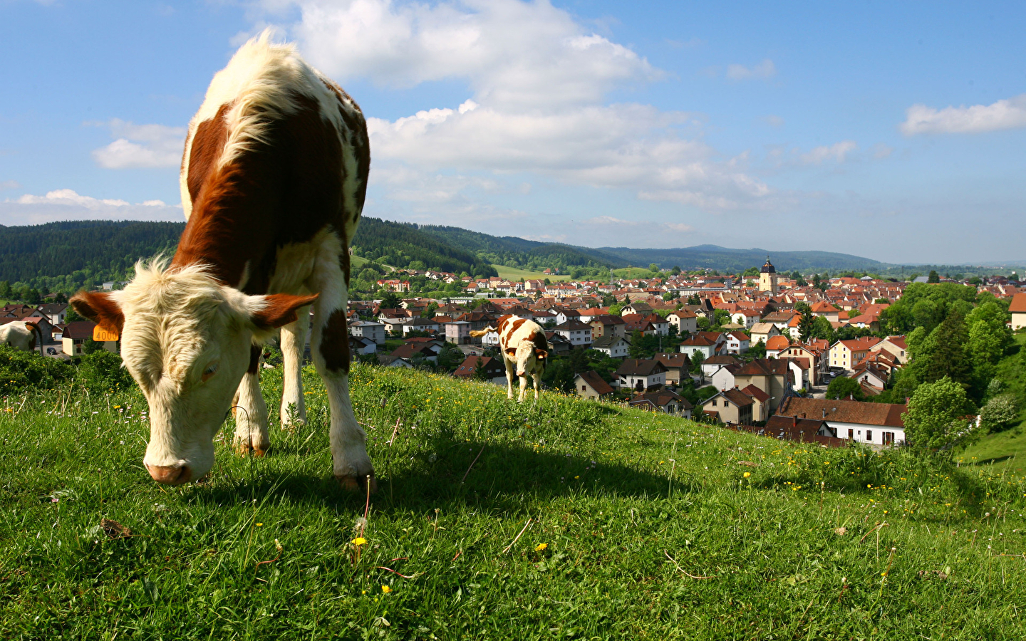 Kommentierte Stadtführung durch Pontarlier